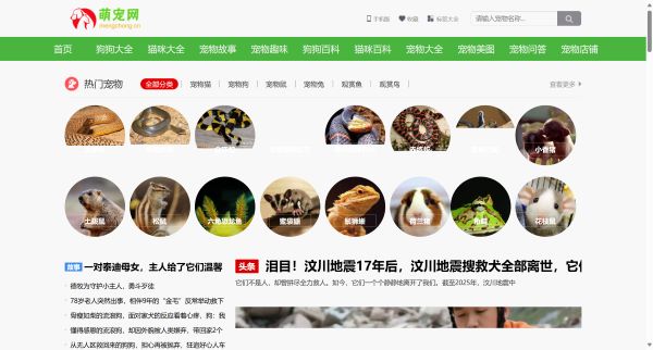 萌宠网-宠物狗,宠物猫的萌宠乐园