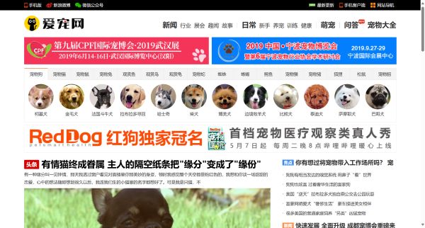 爱宠网_宠物大全_教您宠物喂养护理宠物训练_宠物网