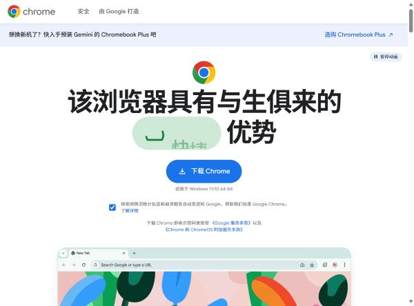 Google Chrome 网络浏览器