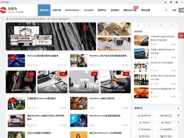 知更鸟 | 崇尚专注 追求极致